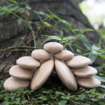 Набір дерев'яних блоків Guidecraft Natural Play Округлі камінці (G6771)