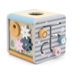 Дерев'яний бізікуб Viga Toys PolarB 5 в 1 (4403021)