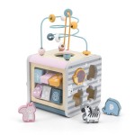 Дерев'яний бізікуб Viga Toys PolarB 5 в 1 (4403021)