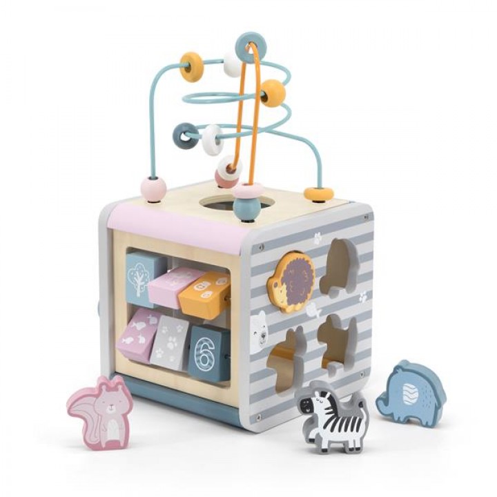 Дерев'яний бізікуб Viga Toys PolarB 5 в 1 (4403021)
