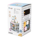 Дерев'яний бізікуб Viga Toys PolarB 5 в 1 (4403021)