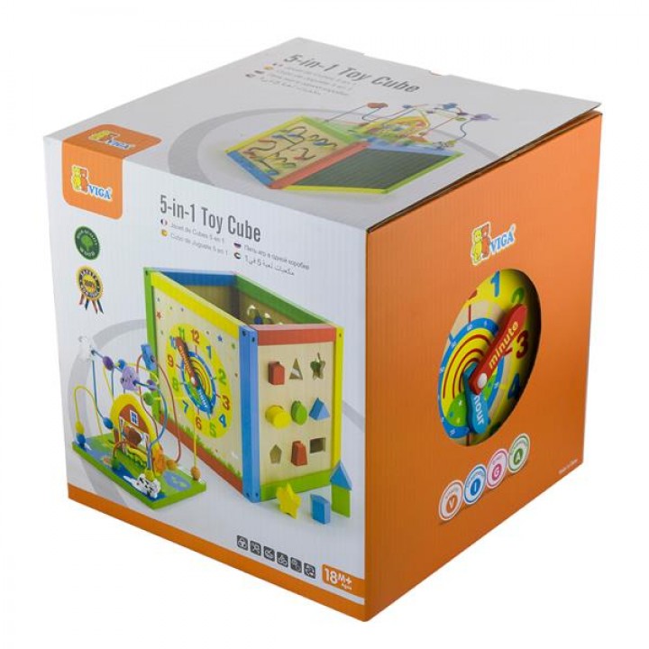 Дерев'яний бізікуб Viga Toys 5 в 1 (5850621)