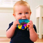 Прорізувач для зубів Hola Toys Весела гусінь (306D)21
