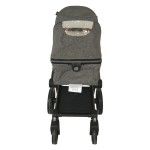 Дитяча коляска Welldon 2 в 1 (сірий) WD007-22021