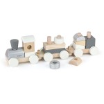 Дерев'яний поїзд Viga Toys Екокубики (5161121)