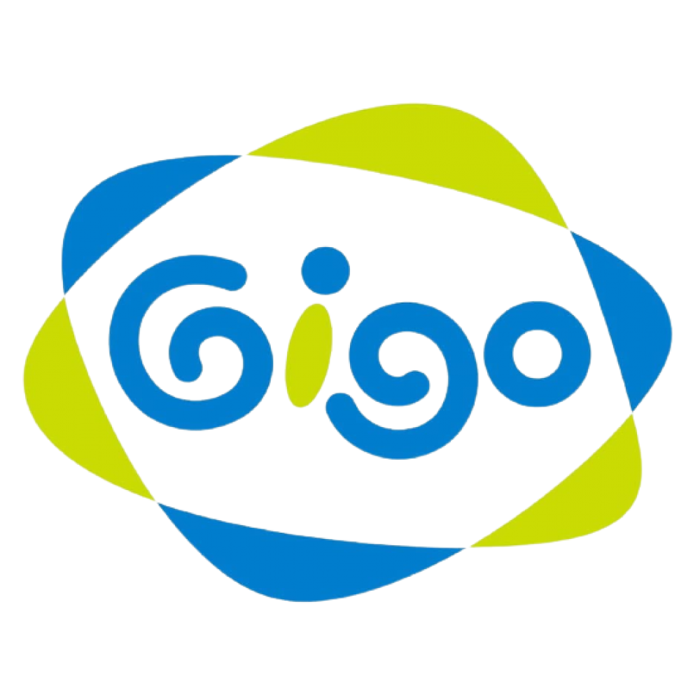 GIGO